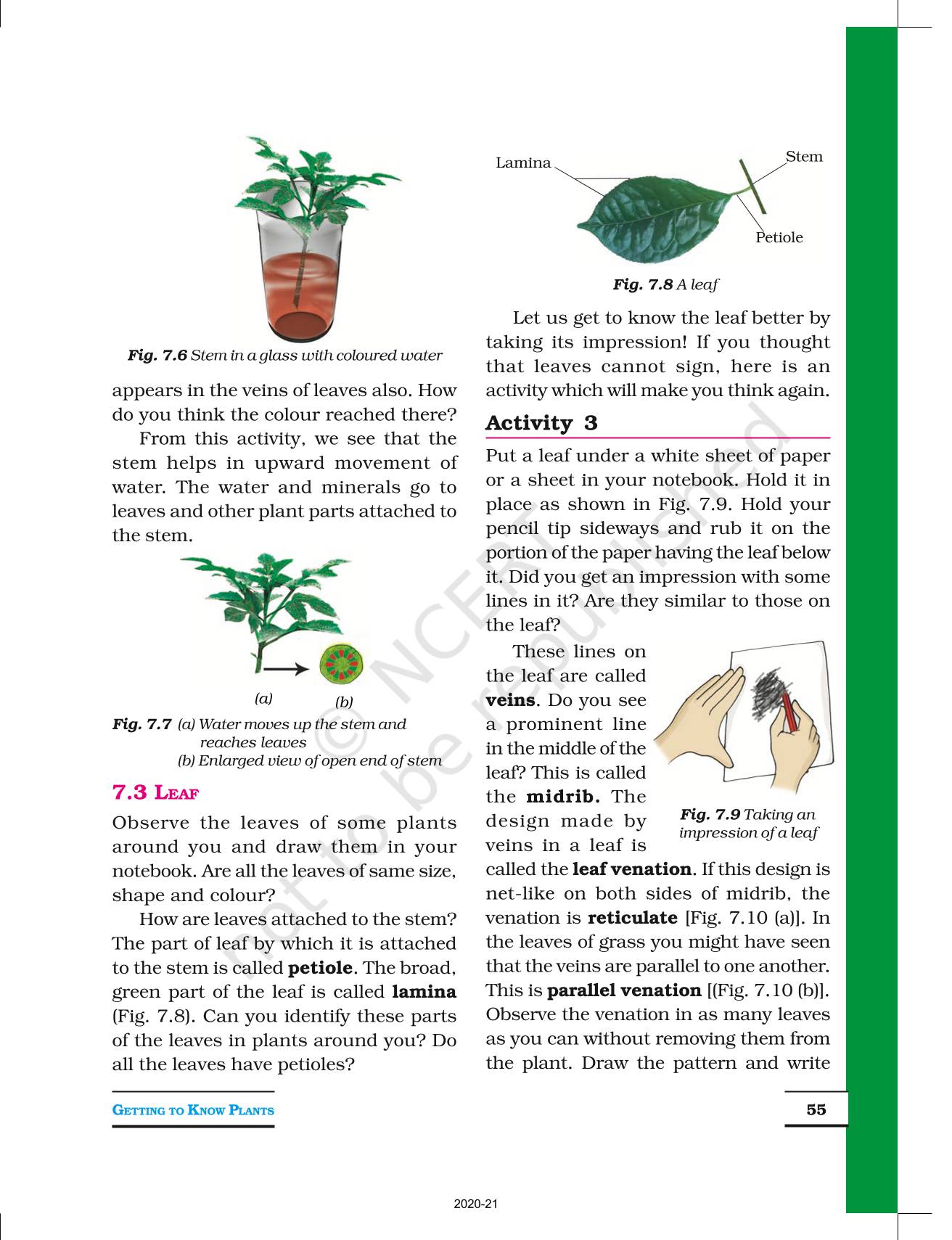 case study questions class 6 science getting to know plants